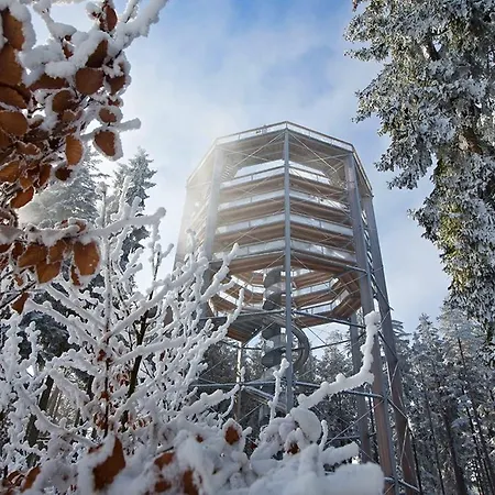 Apartment Andy Riviera 503-10 Lipno